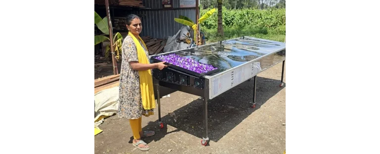 Rudra Solar Energy